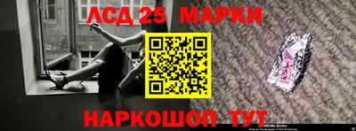 гашик Будённовск
