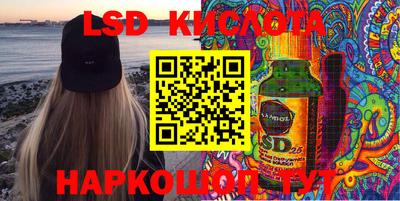 гашик Будённовск