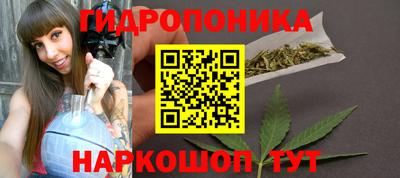 гашик Будённовск