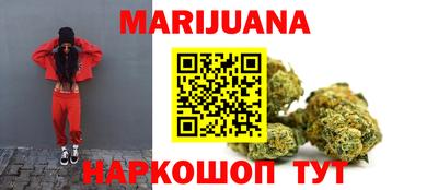 гашик Будённовск